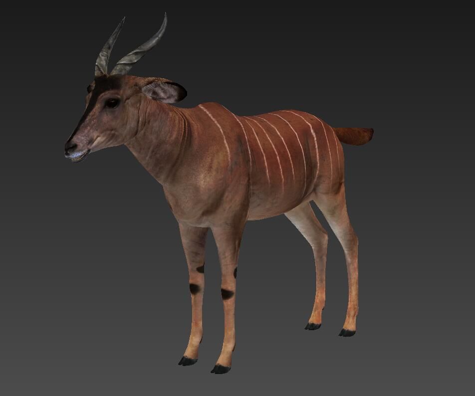 antelope Low-poly 3D model_1