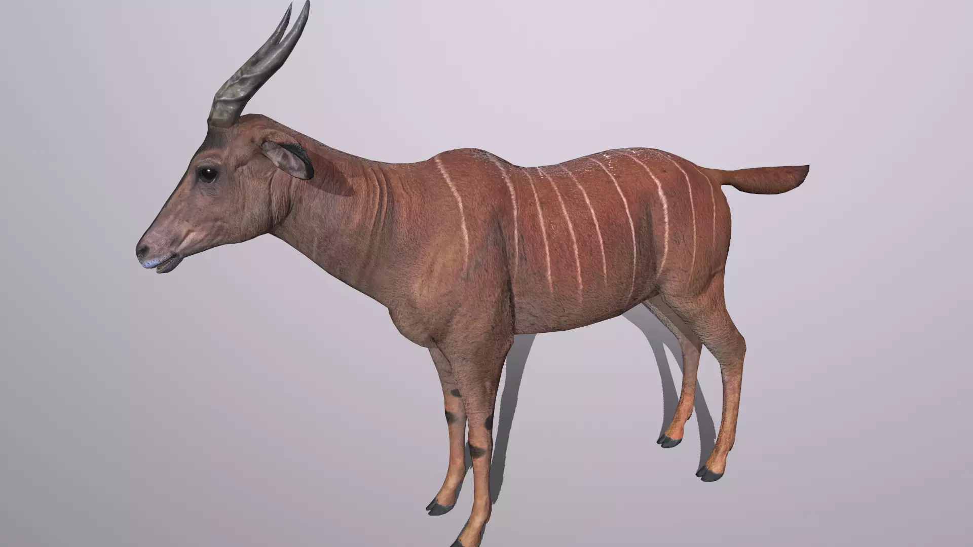antelope cow Low-poly 3D model