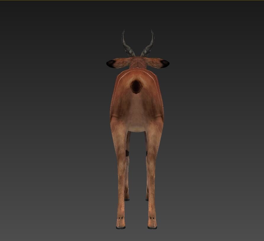 antelope Low-poly 3D model_3