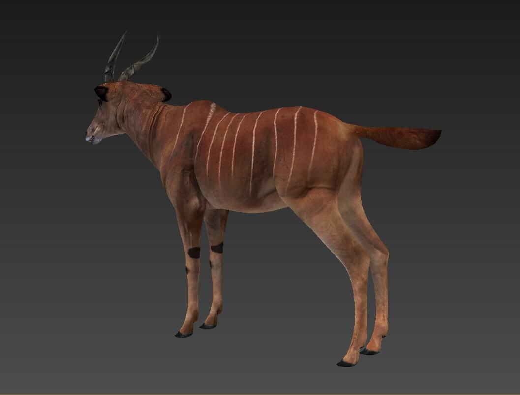 antelope Low-poly 3D model_2