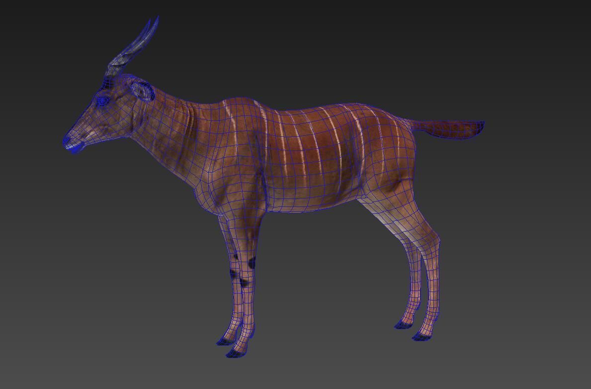 antelope Low-poly 3D model_4
