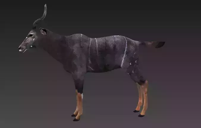 antelope Low-poly 3D model