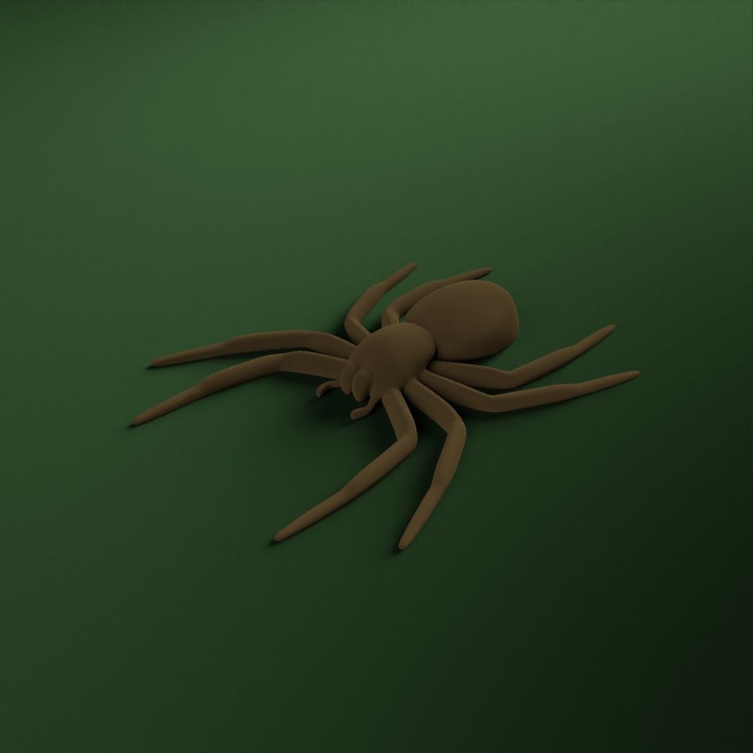 A small Spider 3D print model_1