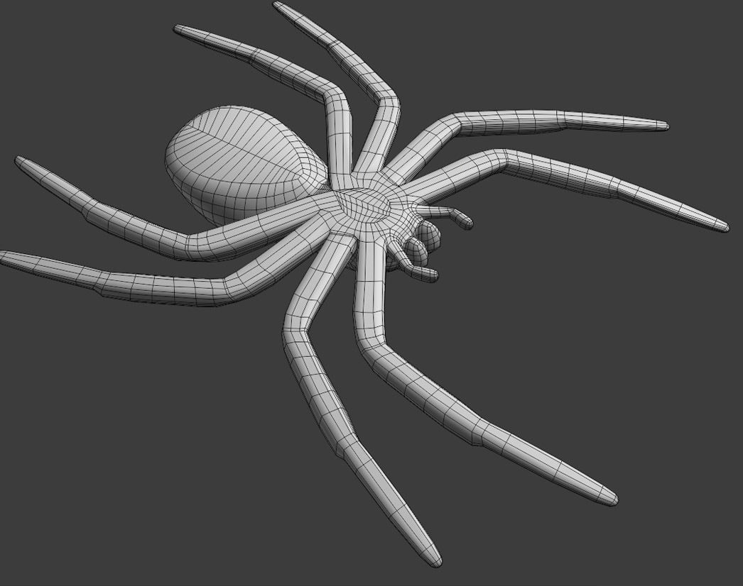A small Spider 3D print model_4