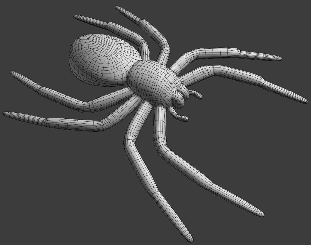 A small Spider 3D print model_3