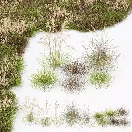 Grass-Dry-Set01 grasses on table 3D model
