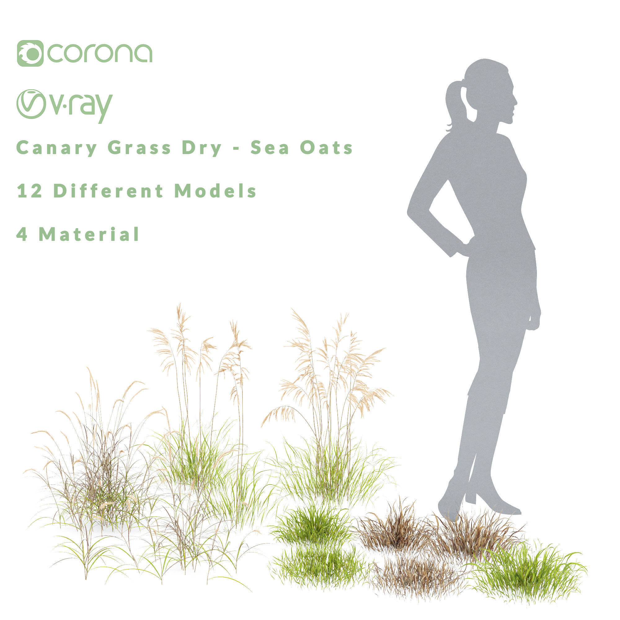 Grass-Dry-Set01 grasses on table 3D model_2