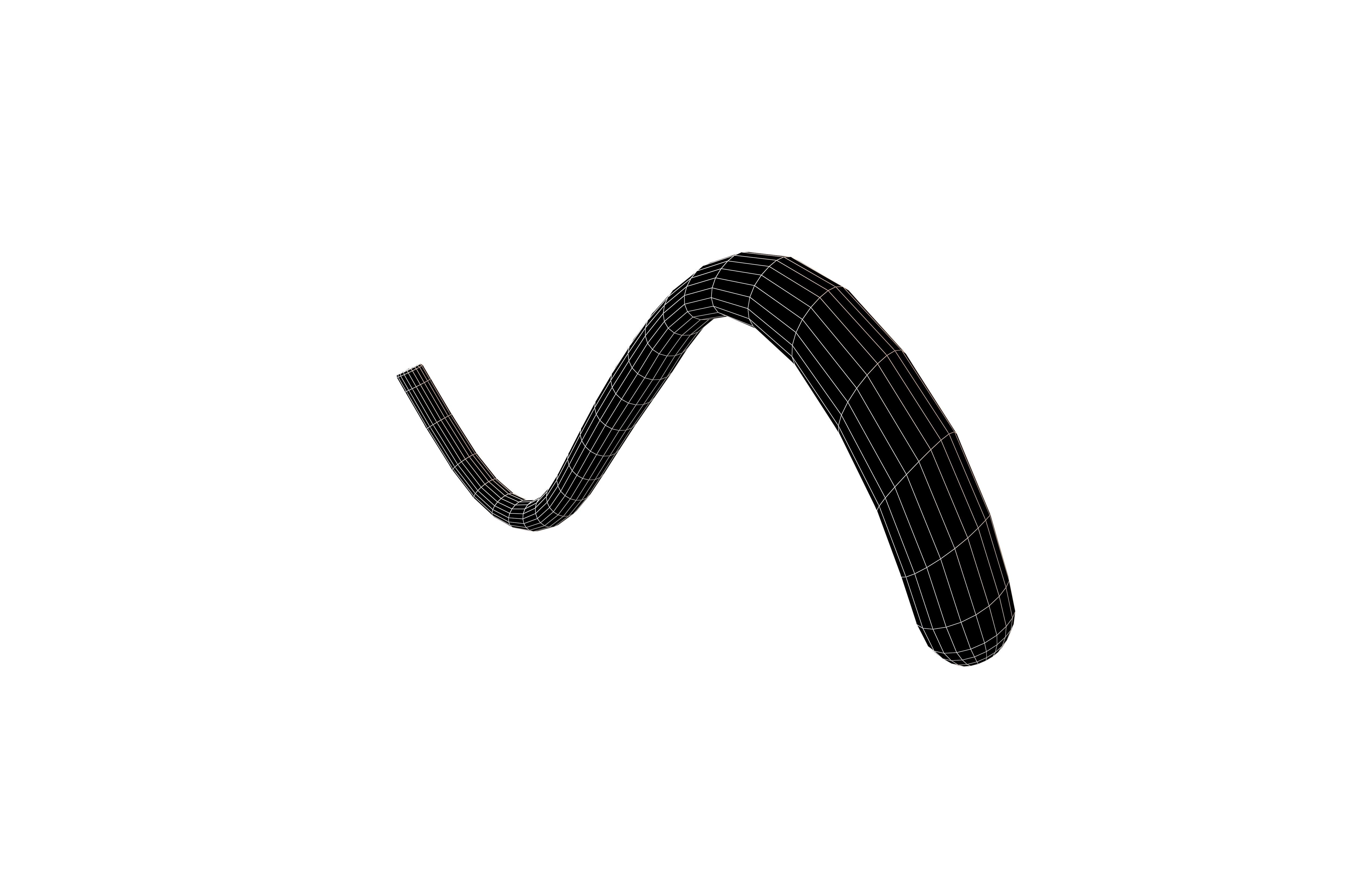 Cat Tail v1 001 Low-poly 3D model_7