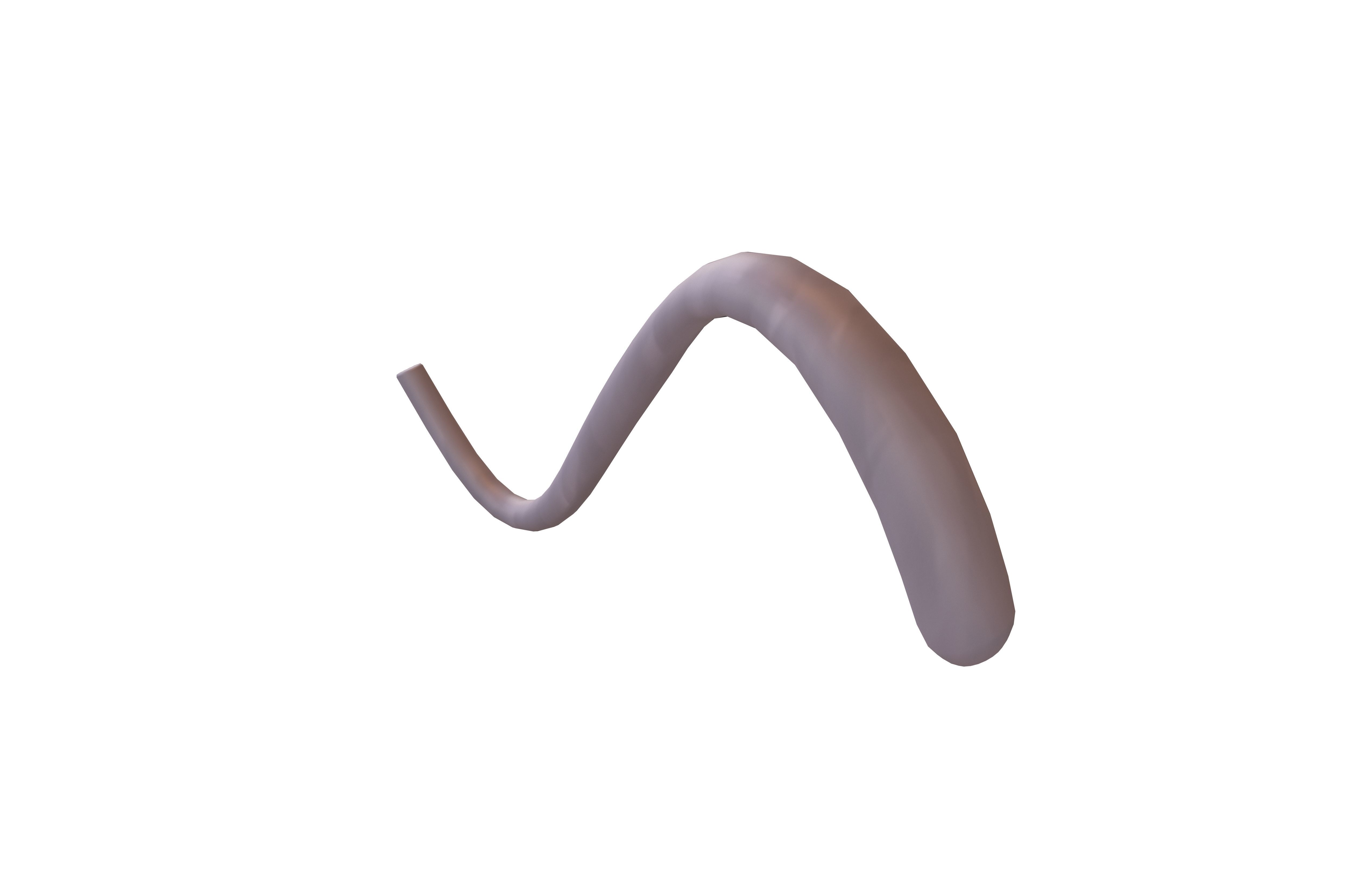 Cat Tail v1 001 Low-poly 3D model_3