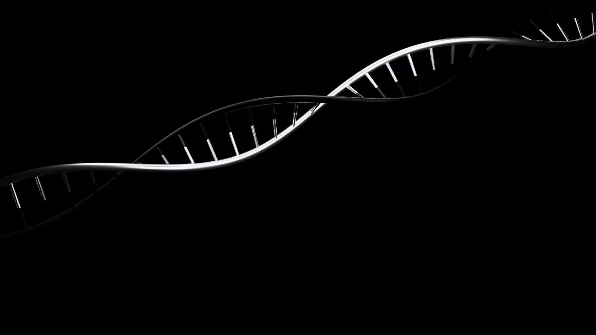 free DNA Free 3D model
