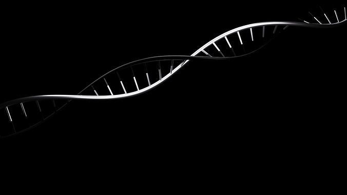 free DNA Free 3D model