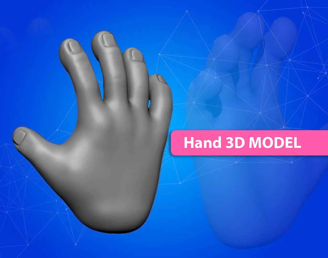base mesh hand 3D model_0