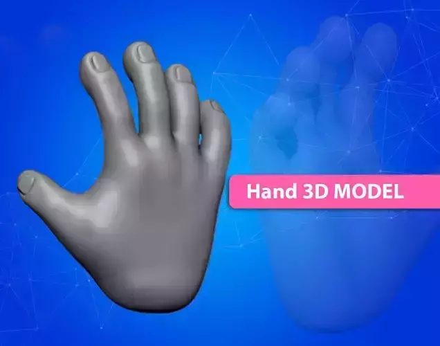 base mesh hand