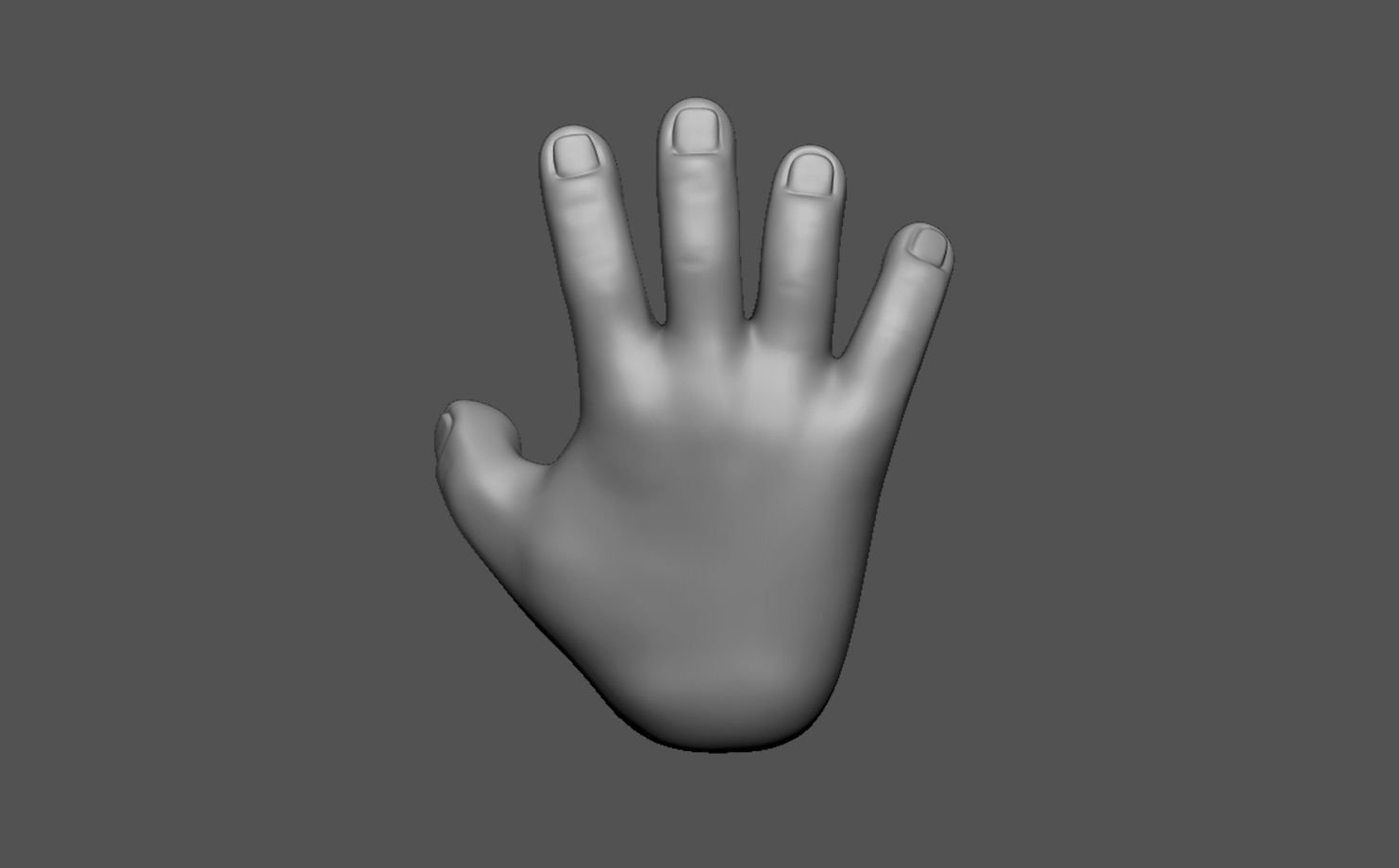 base mesh hand 3D model_2