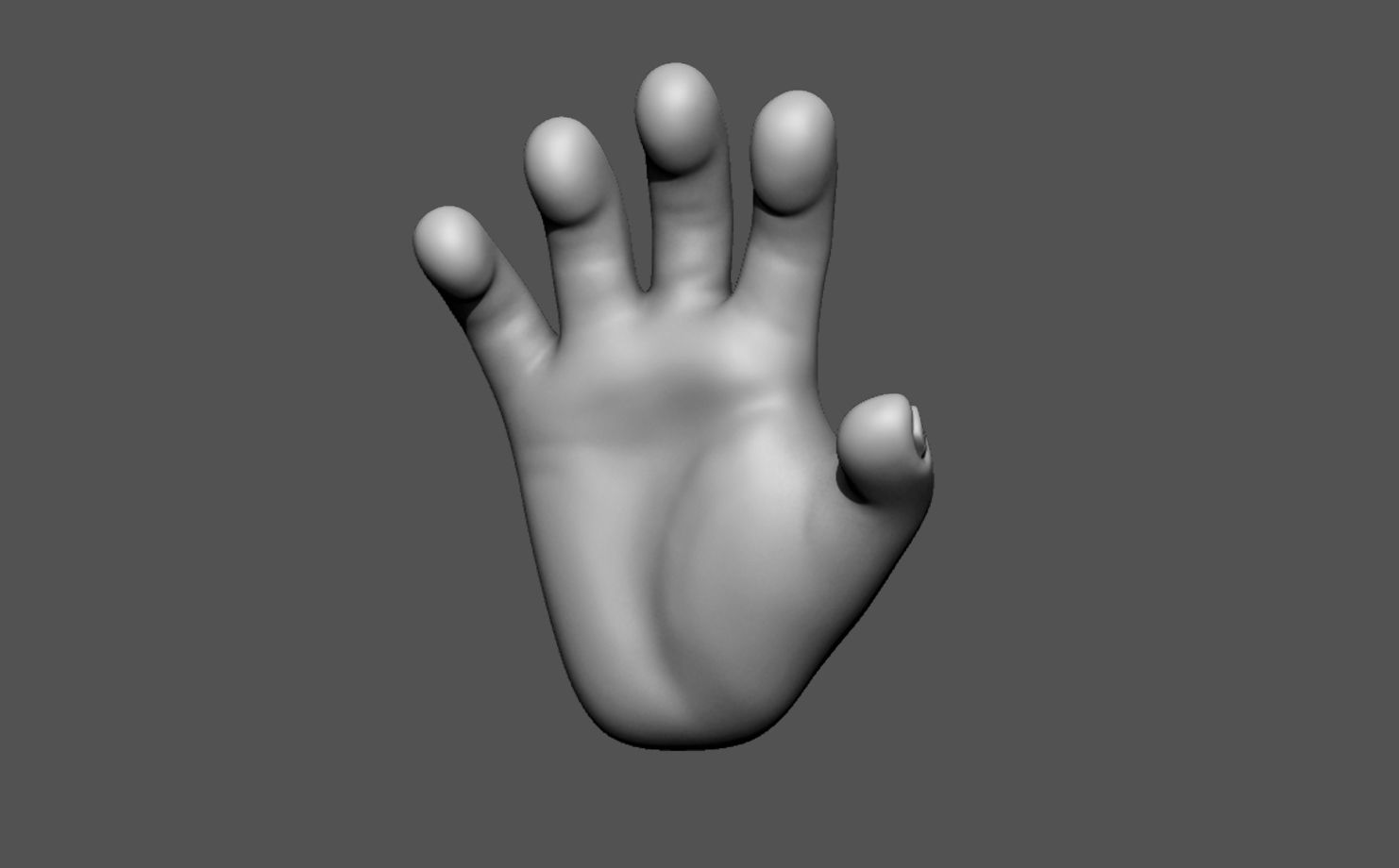 base mesh hand 3D model_3