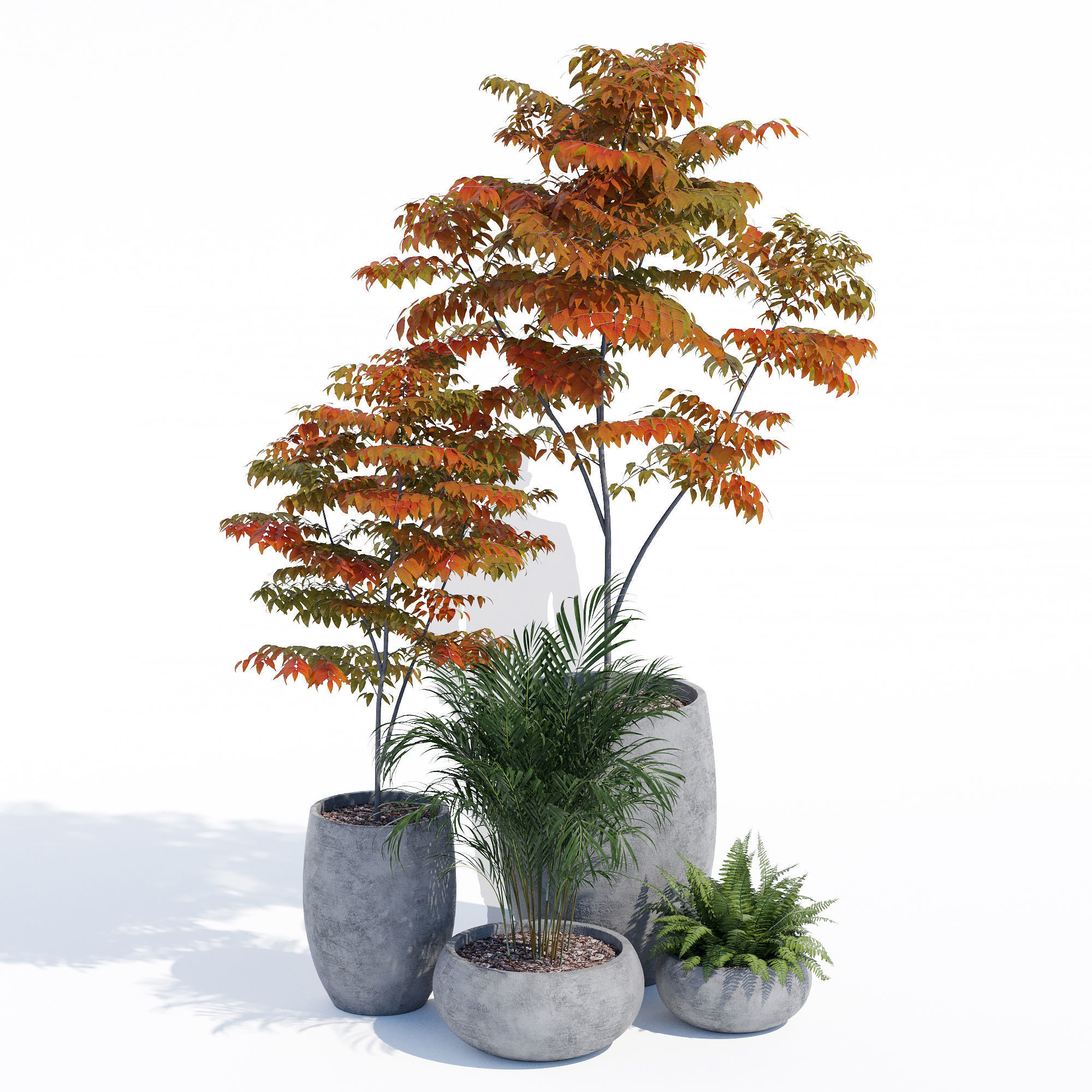 Paolelli one 3D model_10