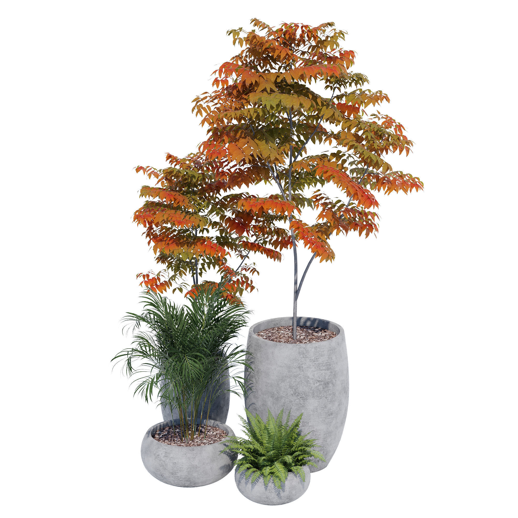 Paolelli one 3D model_3