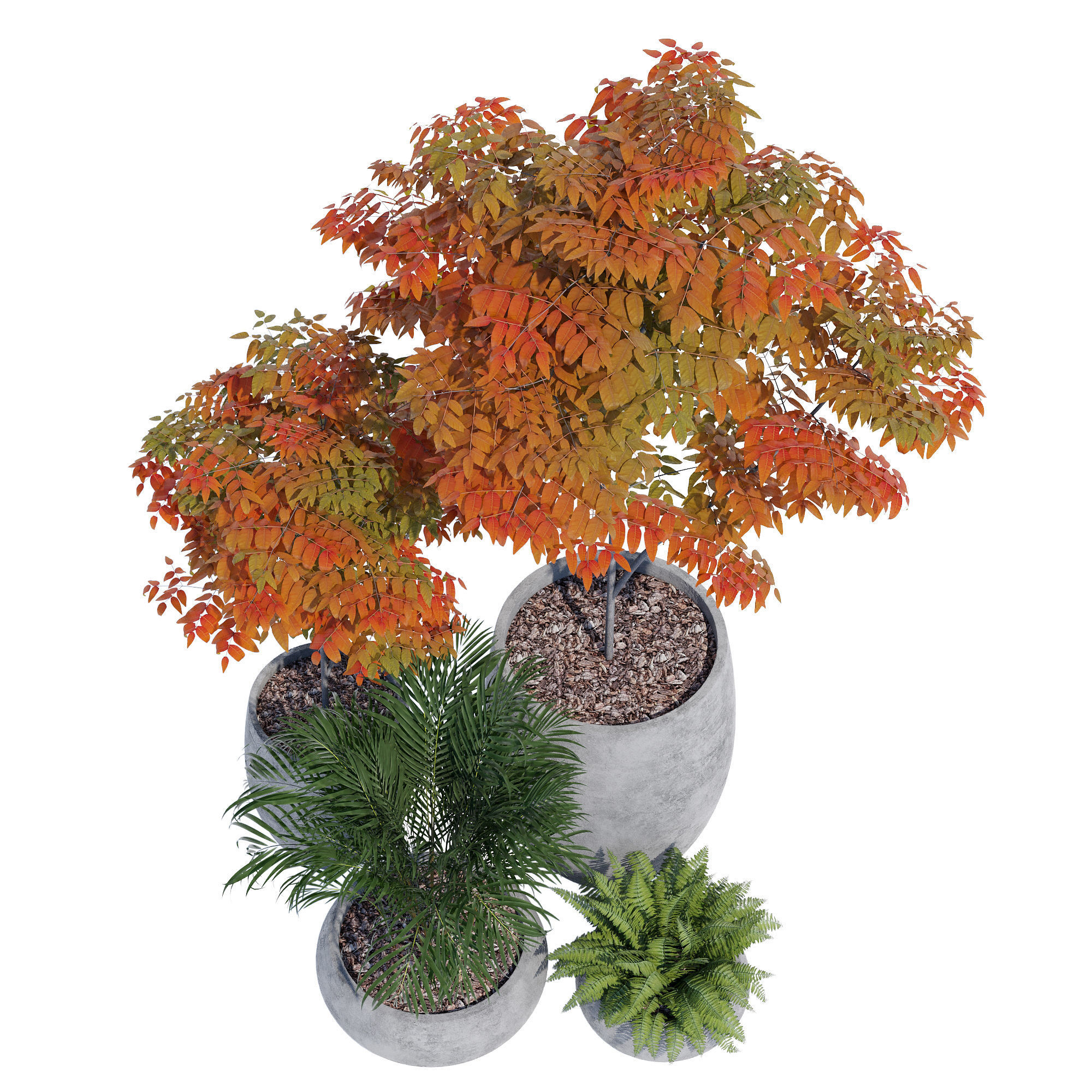 Paolelli one 3D model_1