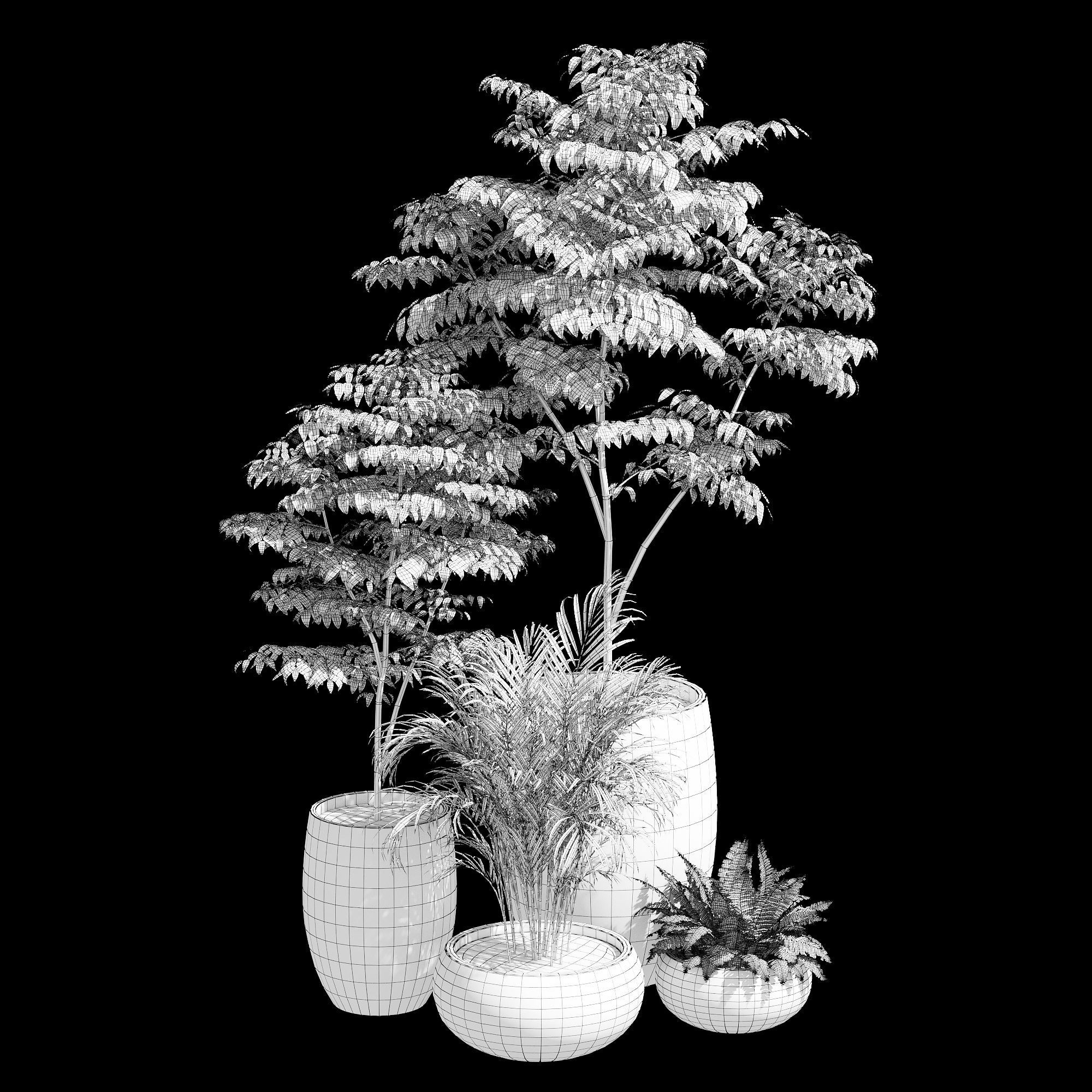 Paolelli one 3D model_14