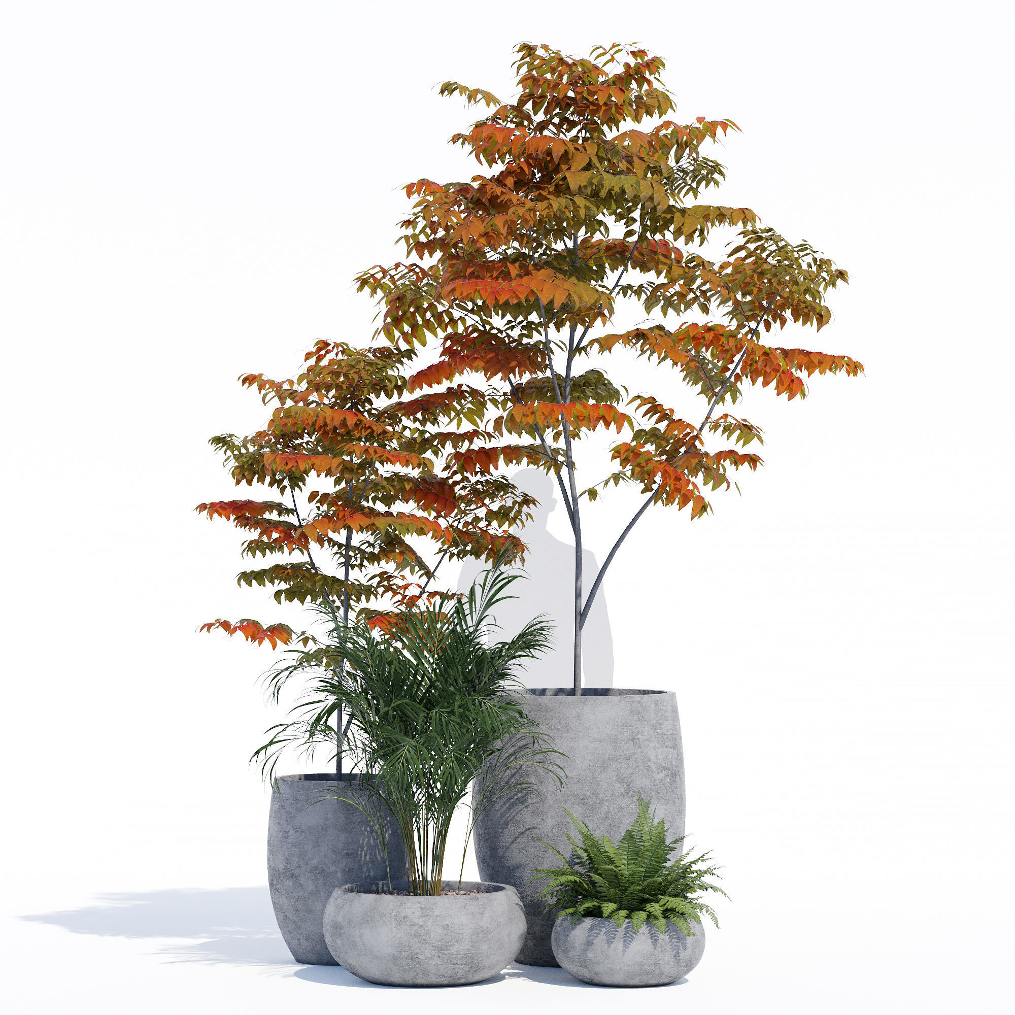 Paolelli one 3D model_8