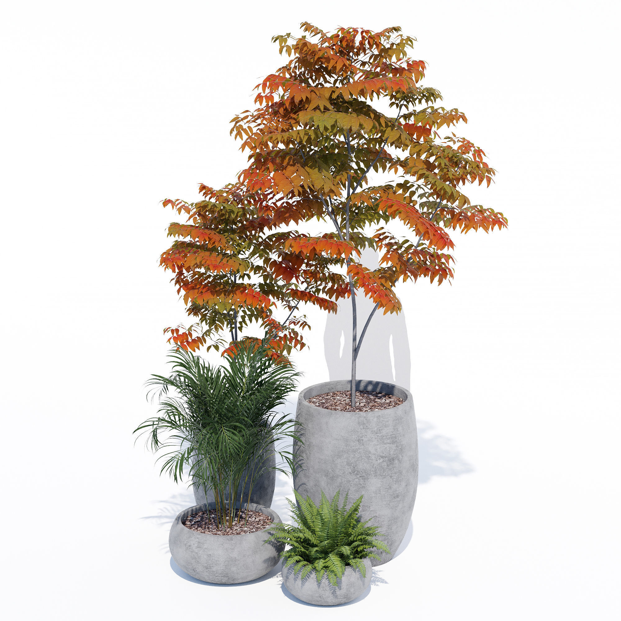 Paolelli one 3D model_11