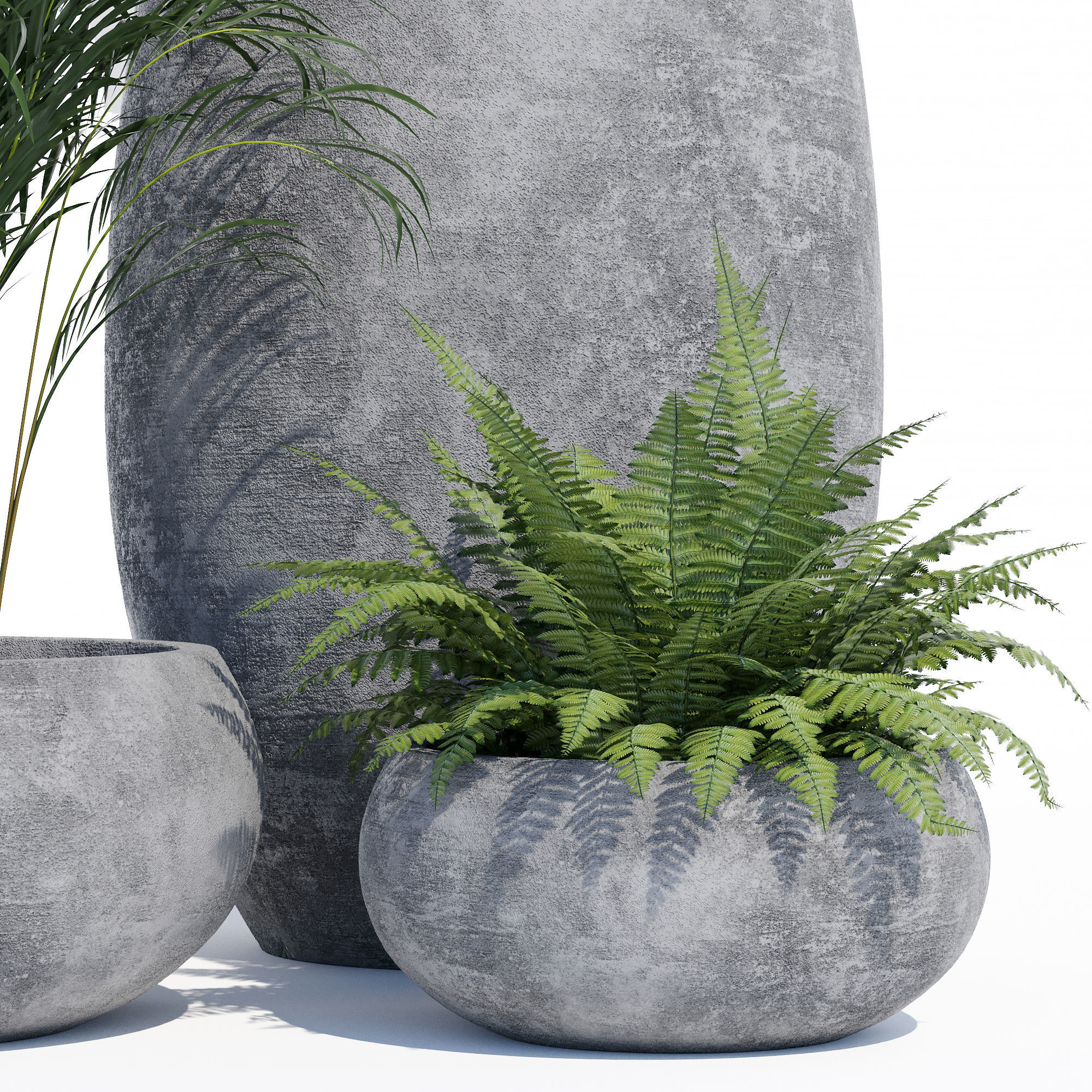 Paolelli one 3D model_12