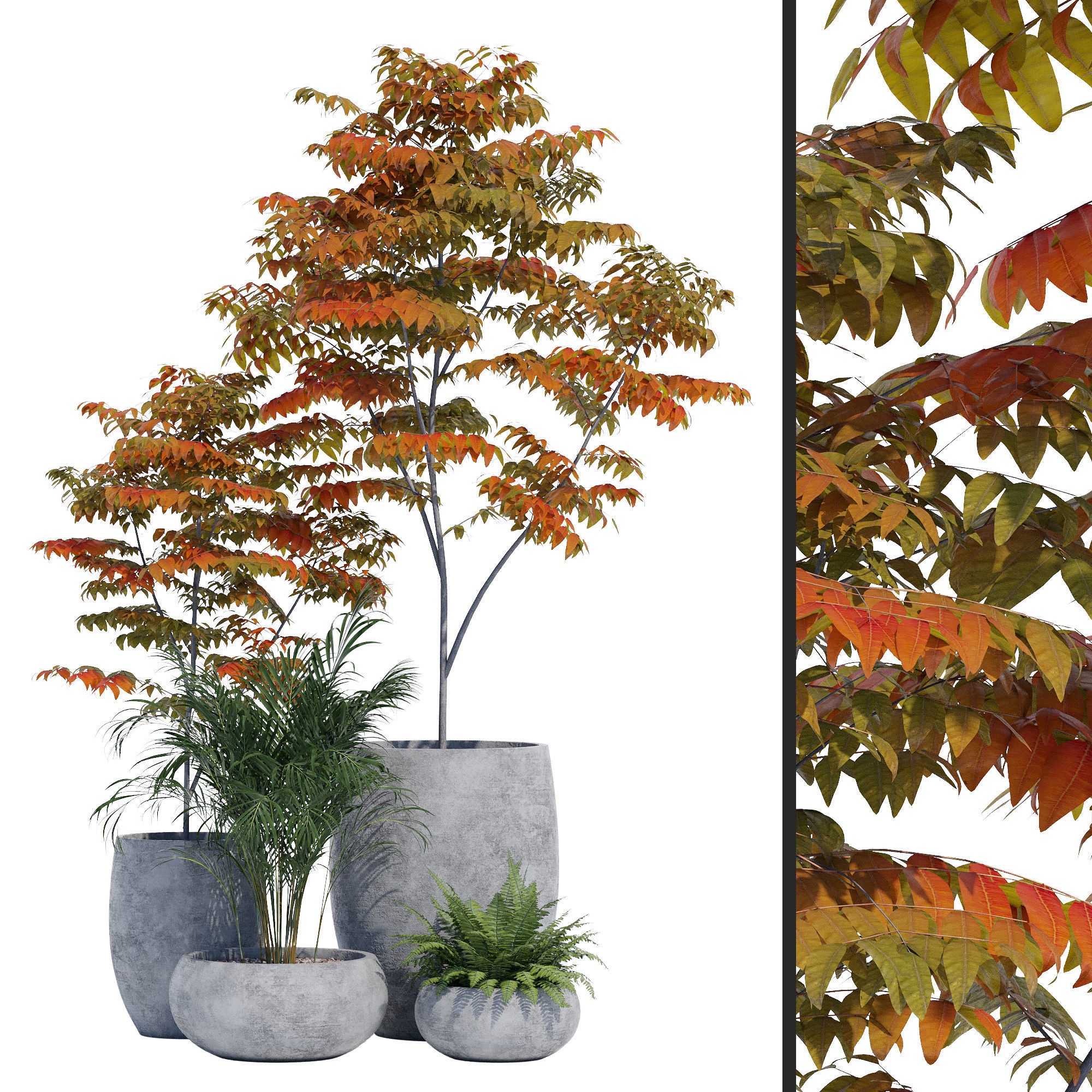 Paolelli one 3D model_7