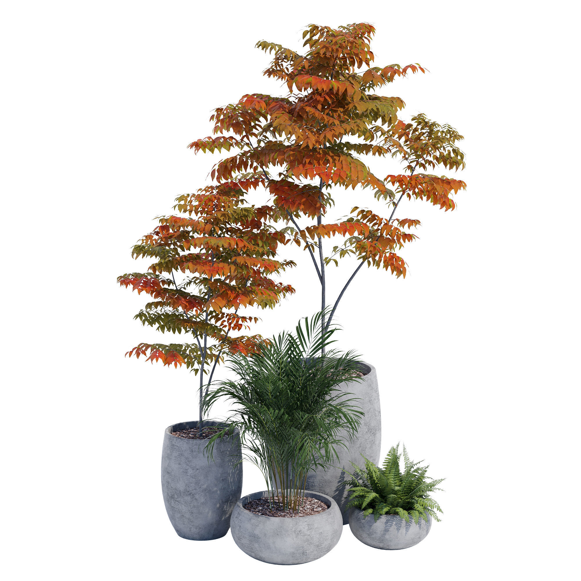 Paolelli one 3D model_2