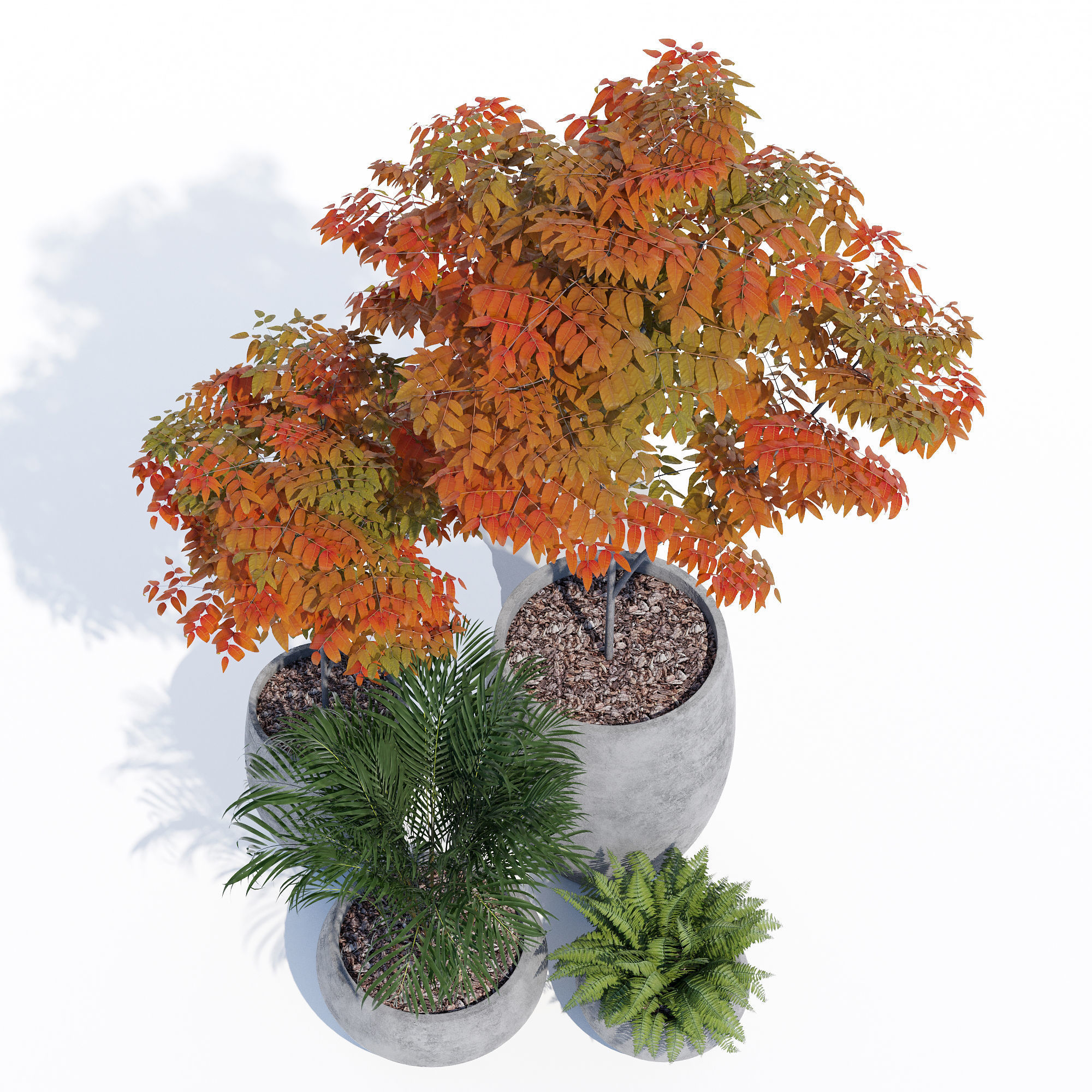 Paolelli one 3D model_9