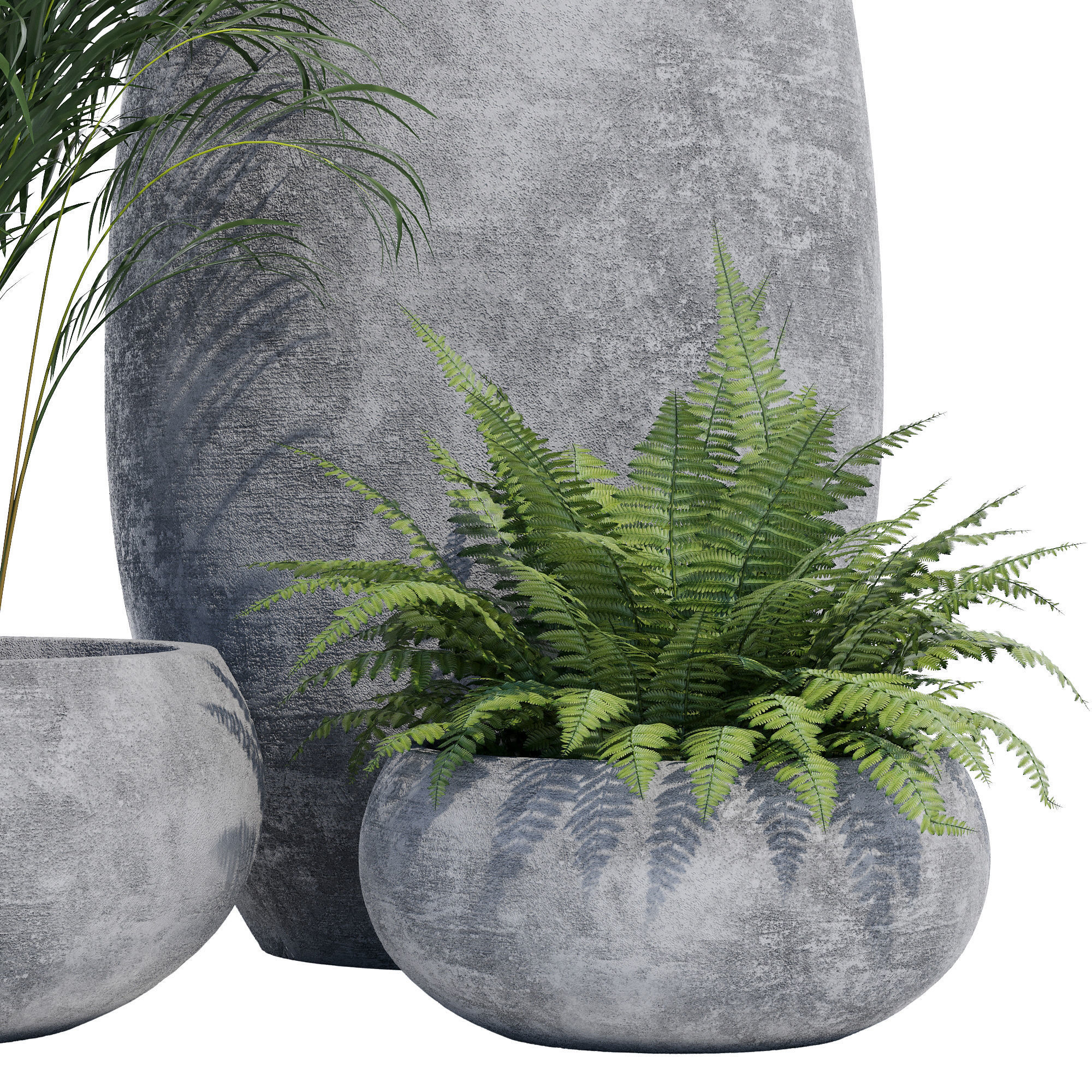 Paolelli one 3D model_4