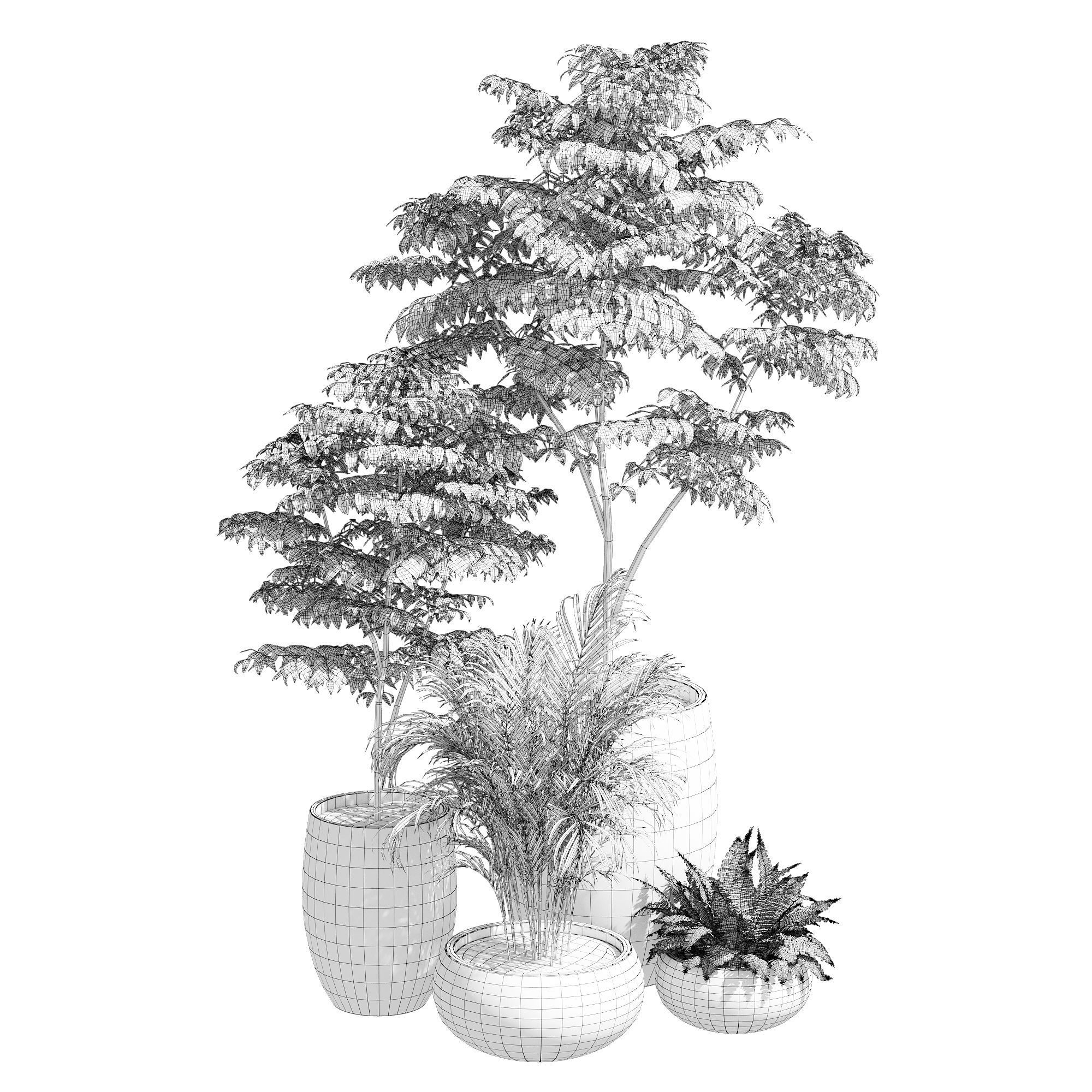 Paolelli one 3D model_6