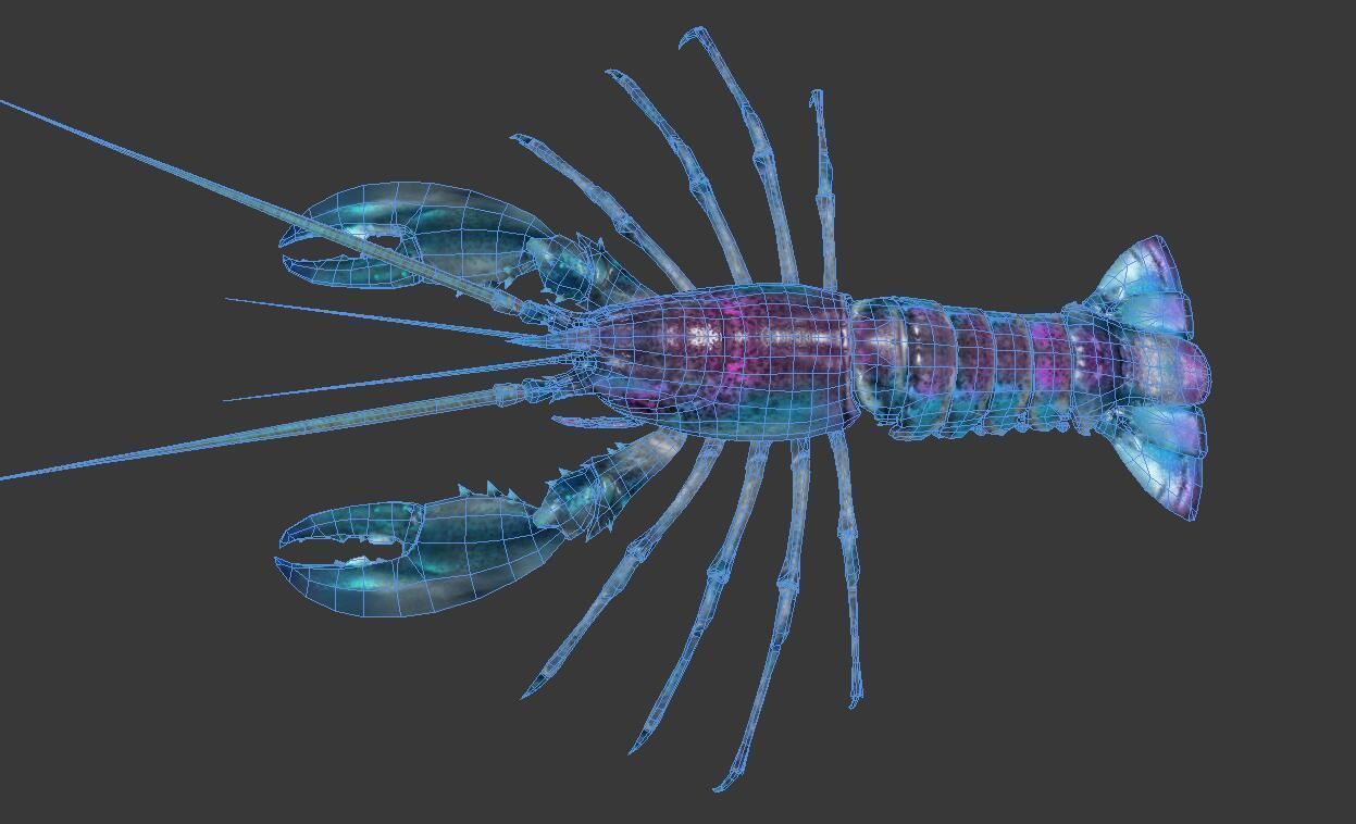 Homarus americanus lobster  Low-poly 3D model_5