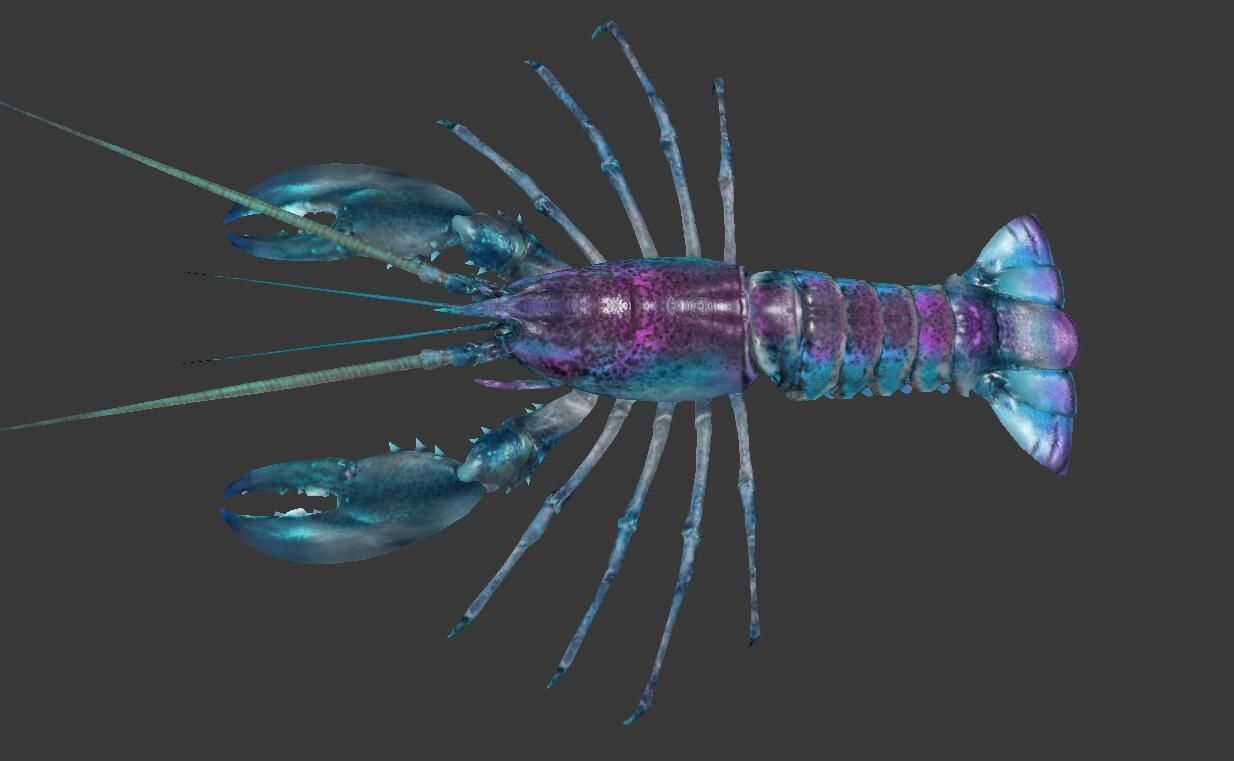 Homarus americanus lobster  Low-poly 3D model_4