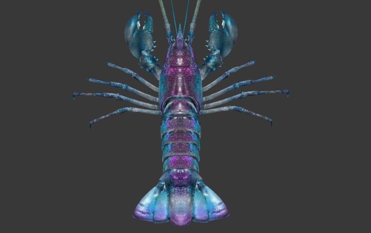 Homarus americanus lobster  Low-poly 3D model_3