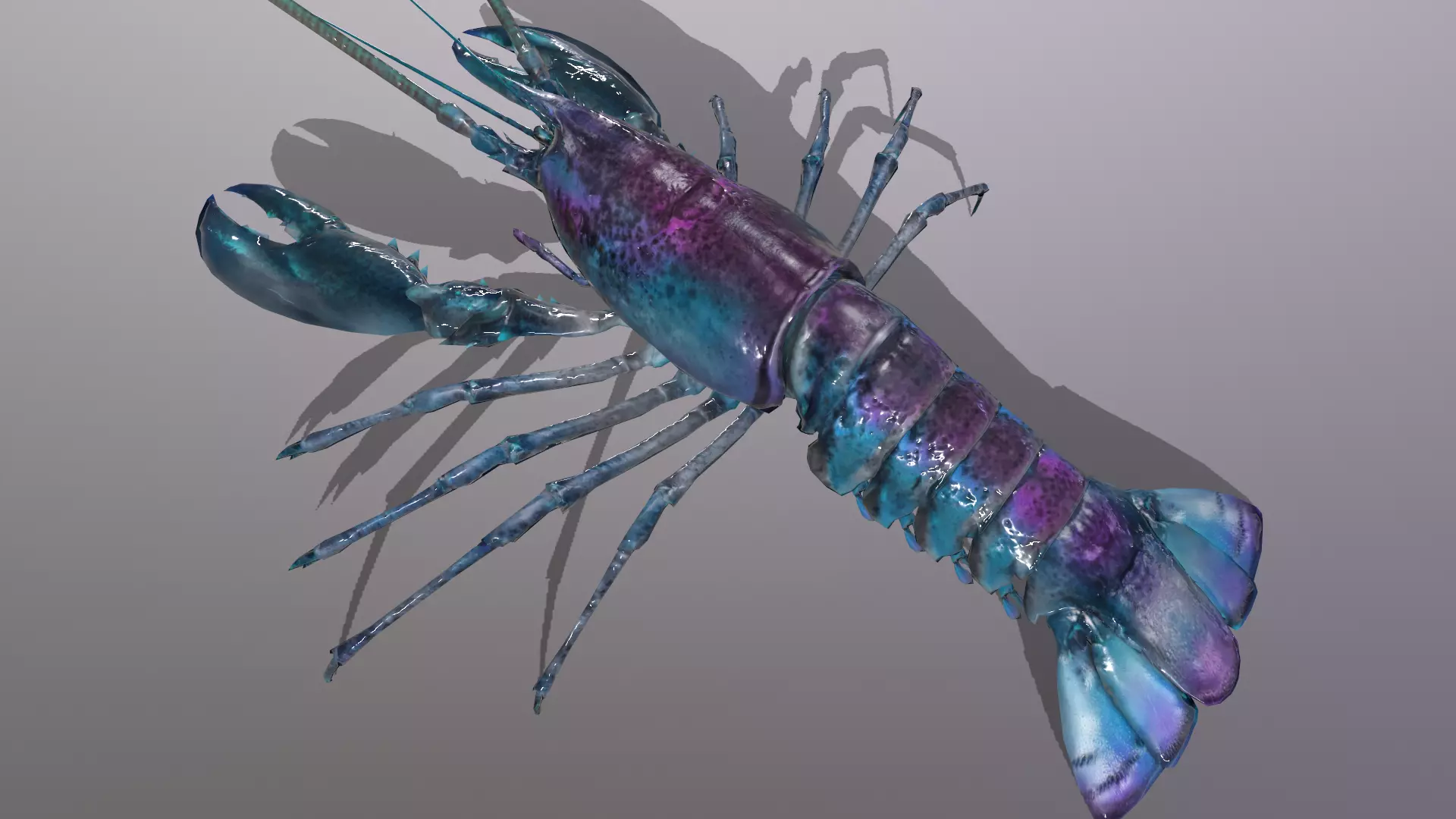 Boston Lobster Low-poly 3D model