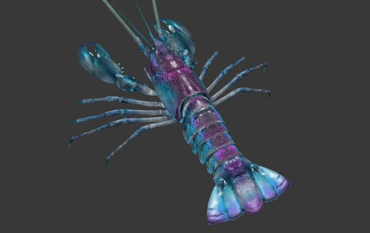 Homarus americanus lobster  Low-poly 3D model_2