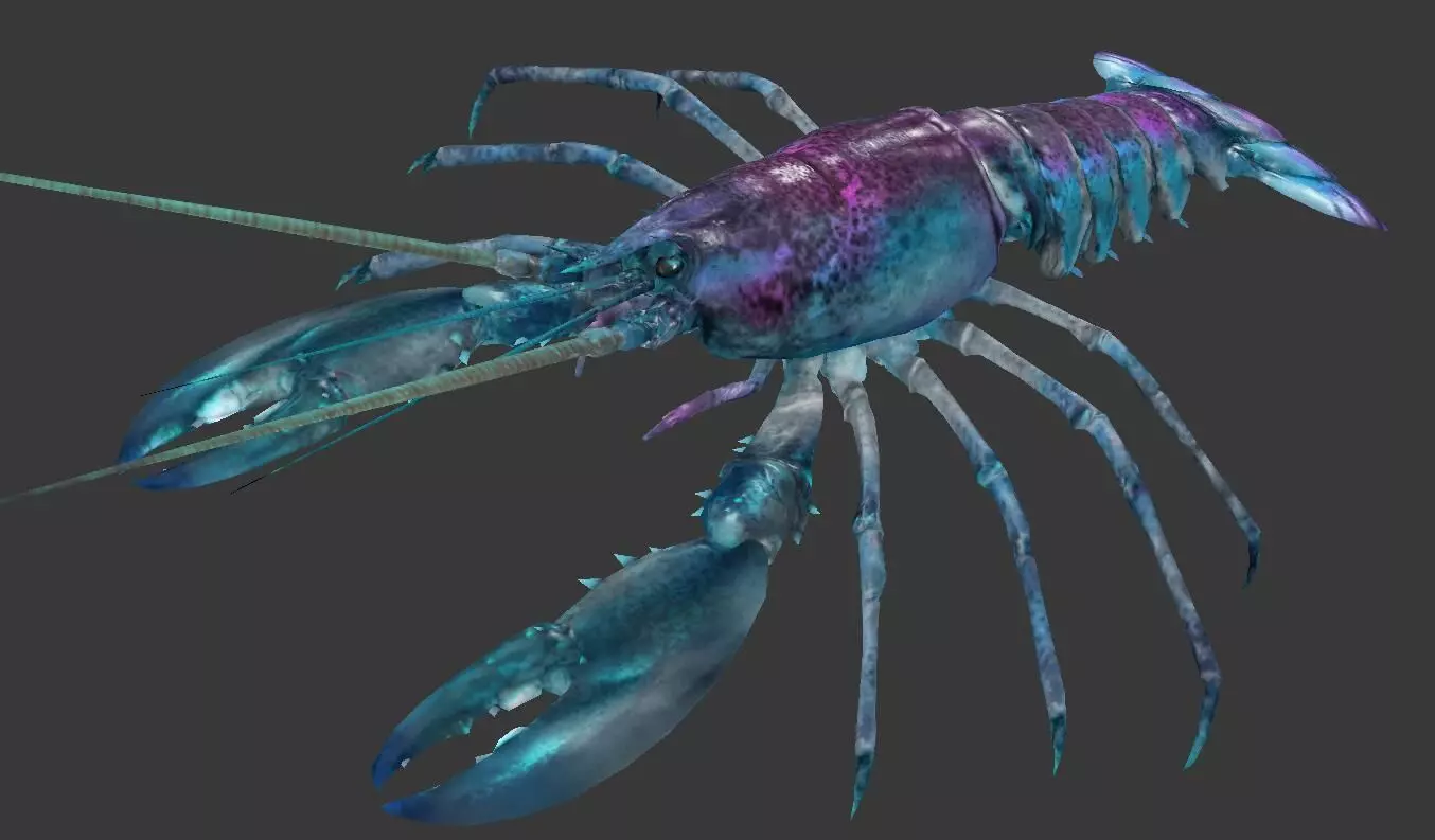 Homarus americanus lobster  Low-poly 3D model_0