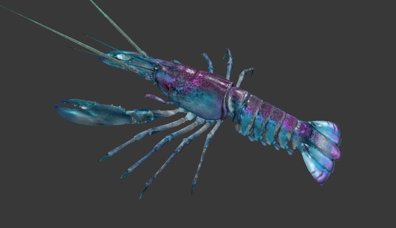 Homarus americanus lobster  Low-poly 3D model_1