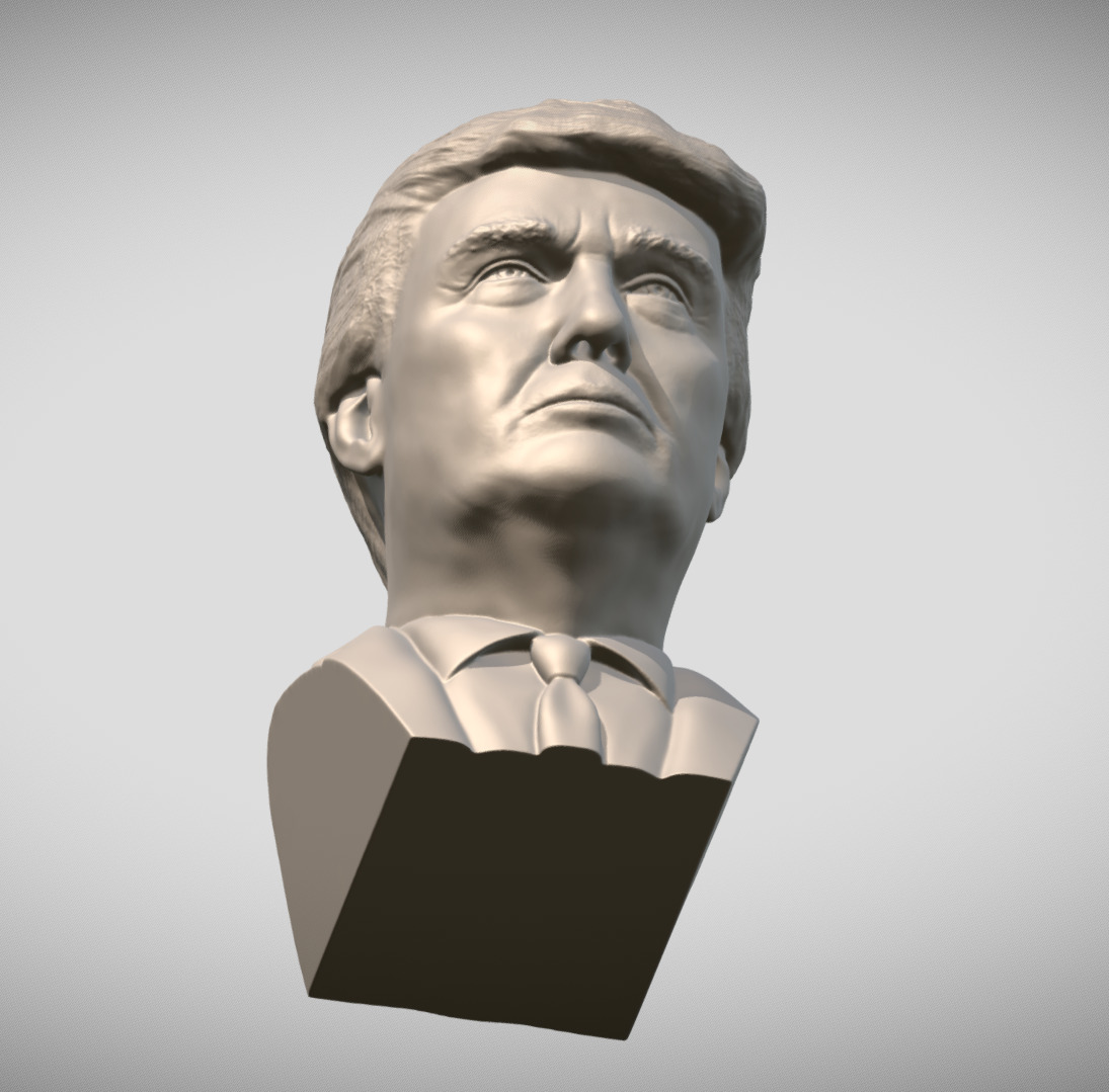 Donald Trump bust for 3D printing 3D print model_16