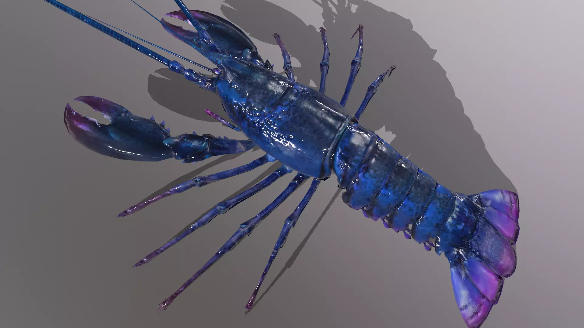 Boston Lobster Low-poly 3D model