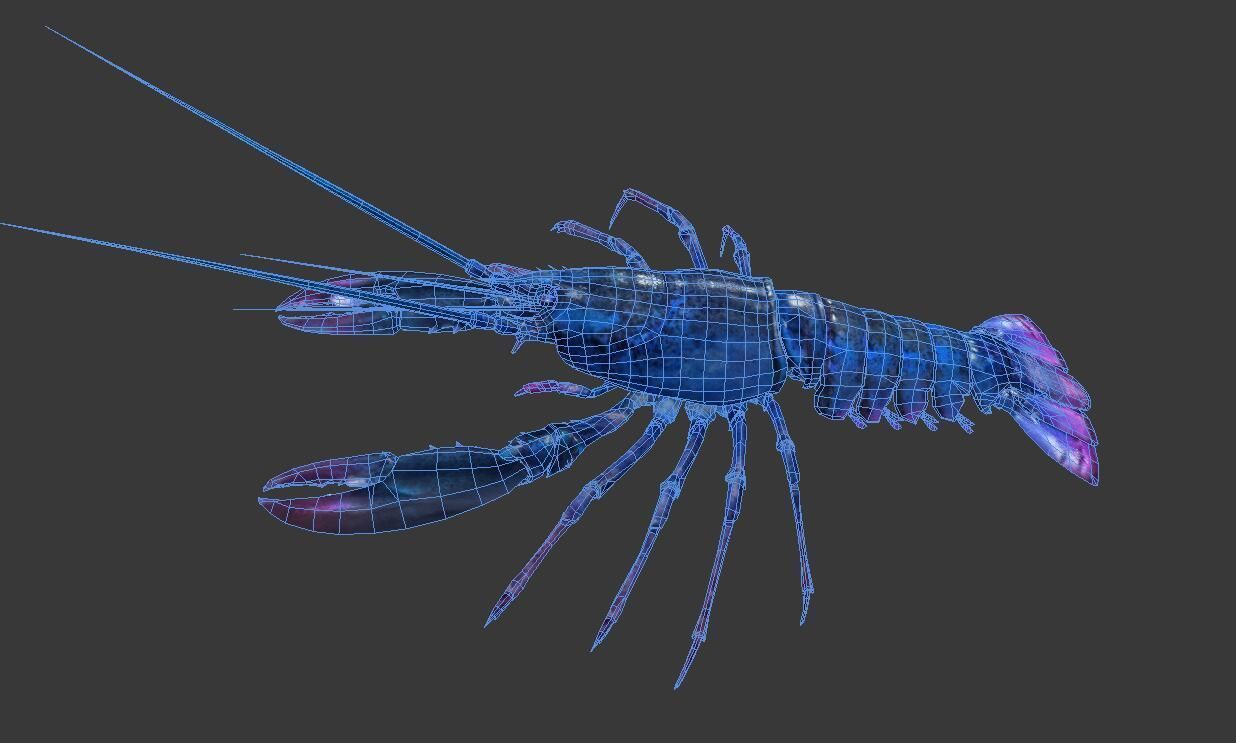 Homarus americanus lobster  Low-poly 3D model_5