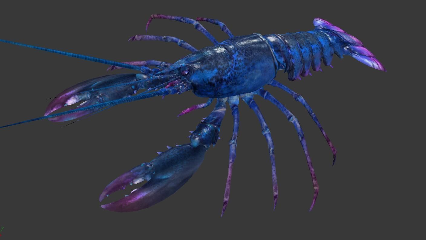 Homarus americanus lobster  Low-poly 3D model_1