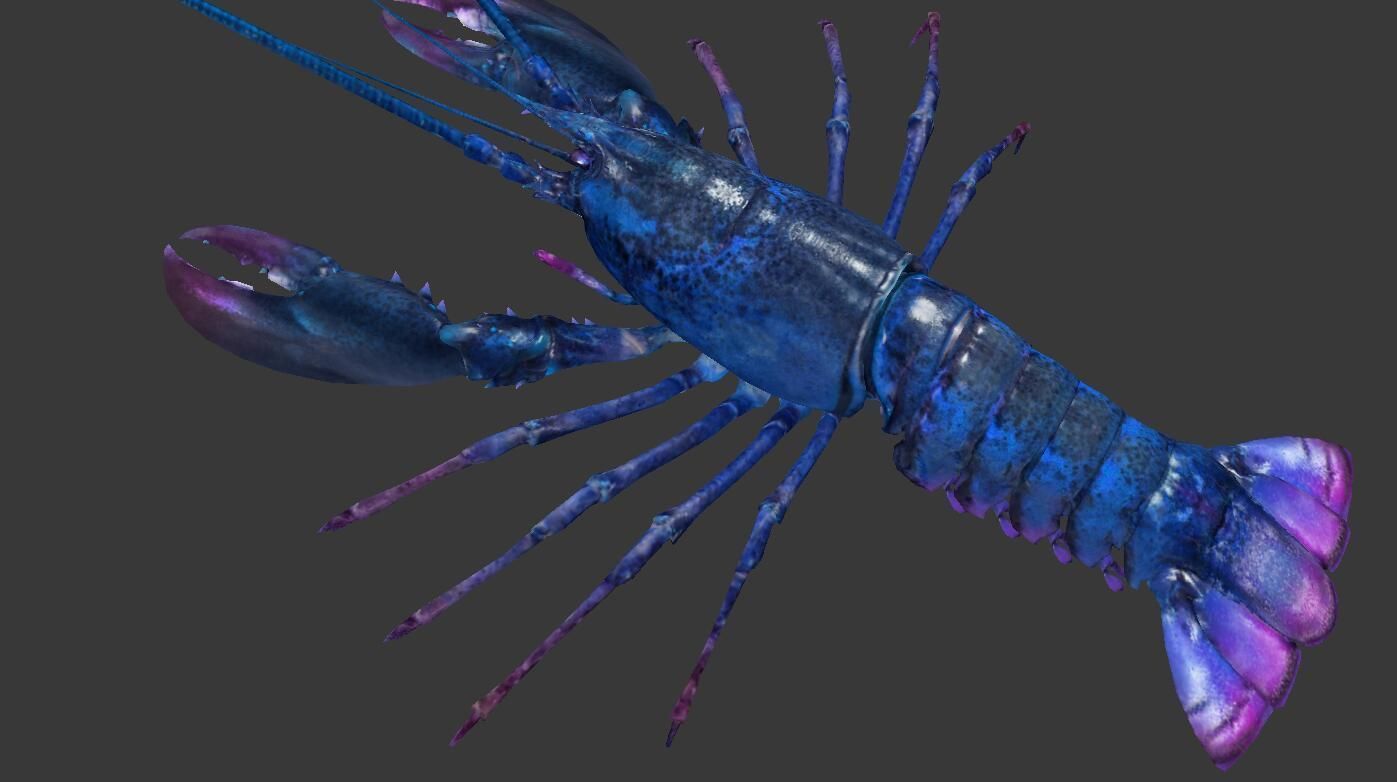 Homarus americanus lobster  Low-poly 3D model_2