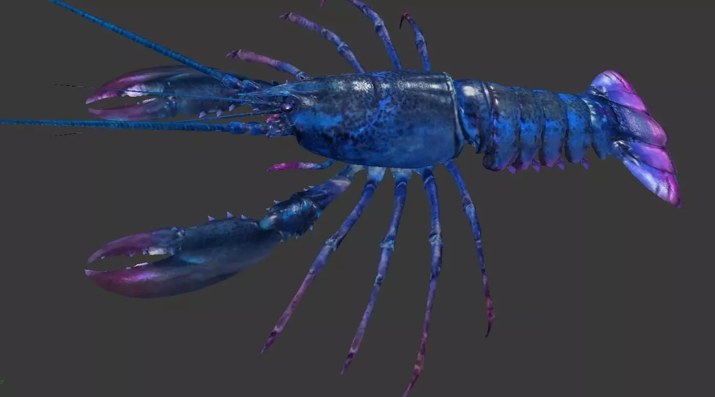 Homarus americanus lobster  Low-poly 3D model_0