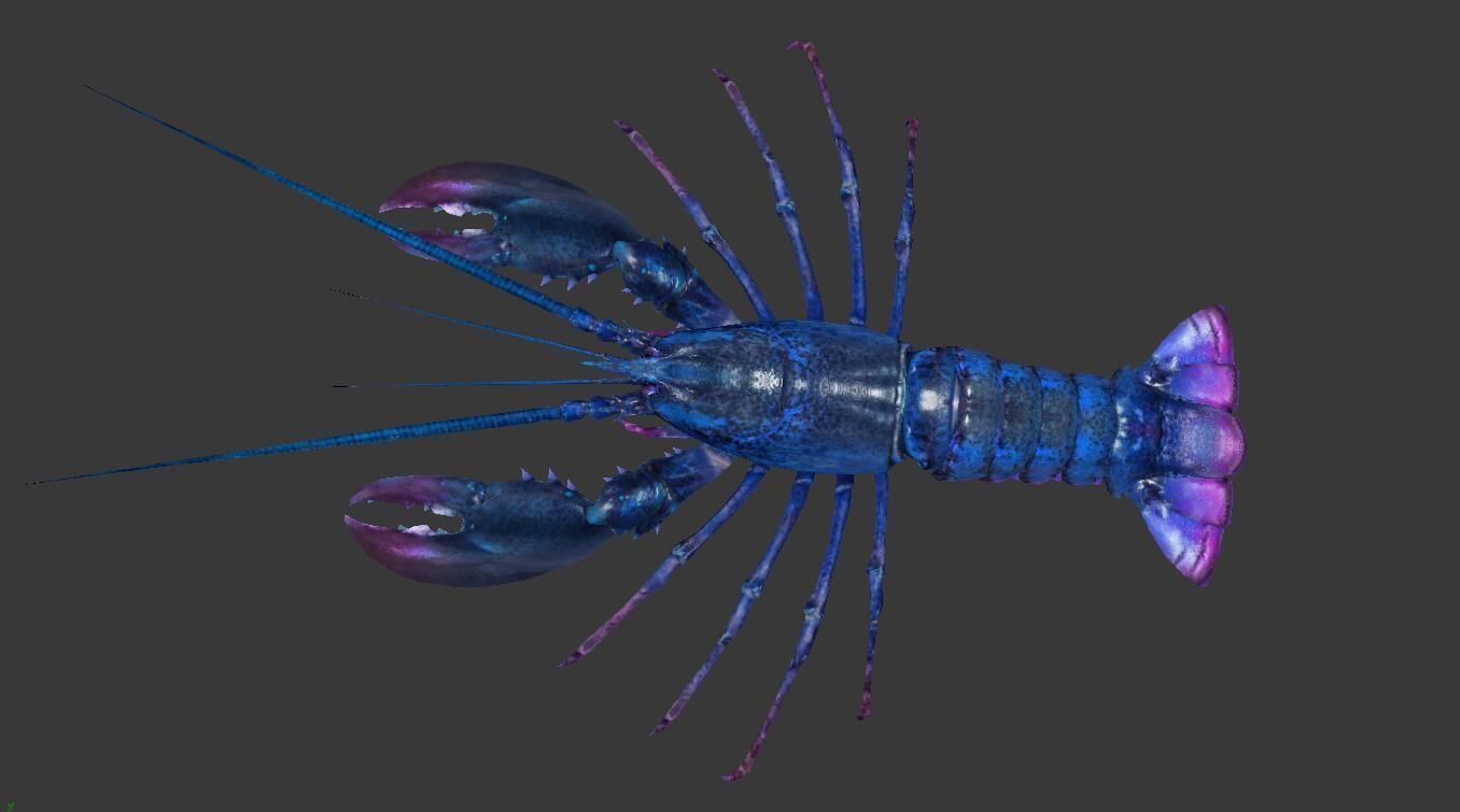 Homarus americanus lobster  Low-poly 3D model_4