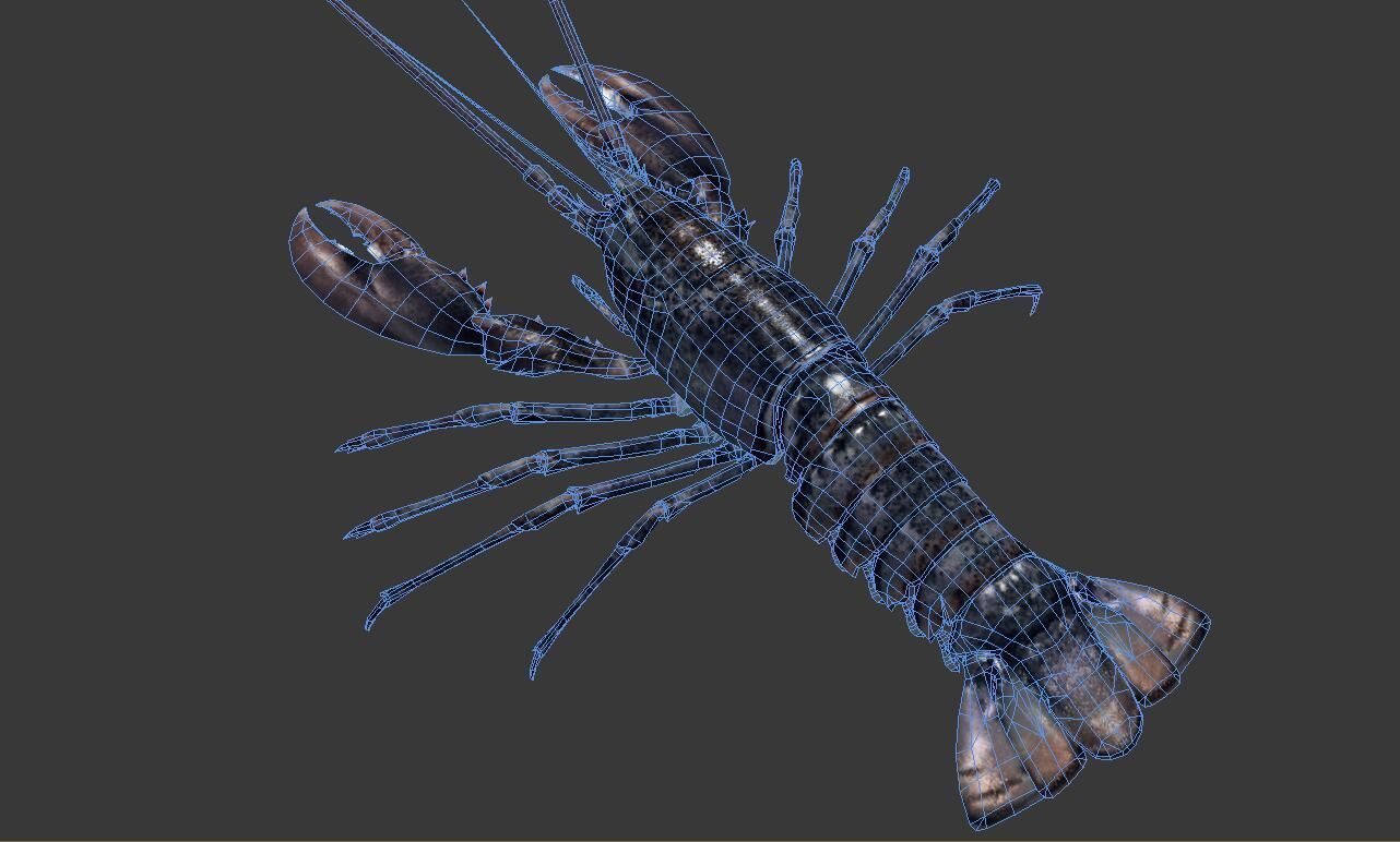 Homarus americanus lobster  Low-poly 3D model_4