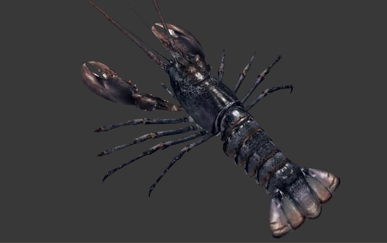 Homarus americanus lobster  Low-poly 3D model_3