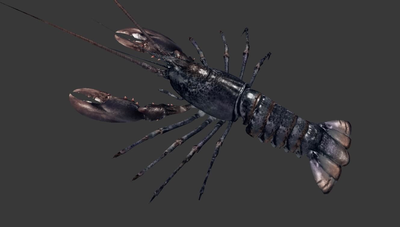 Homarus americanus lobster  Low-poly 3D model_2