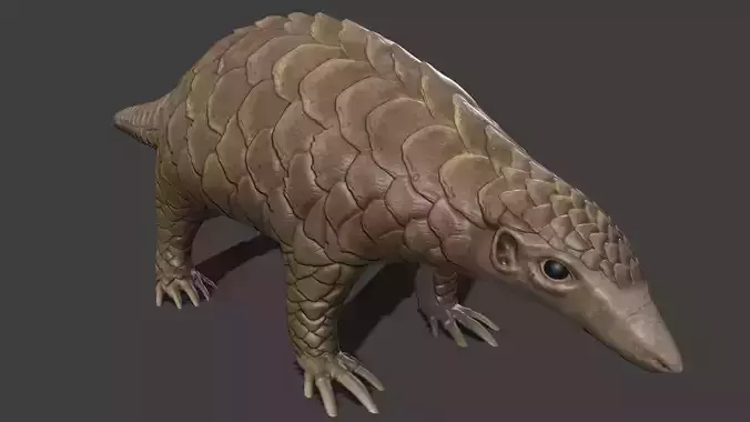 Pangolin armadillo Low-poly 3D model