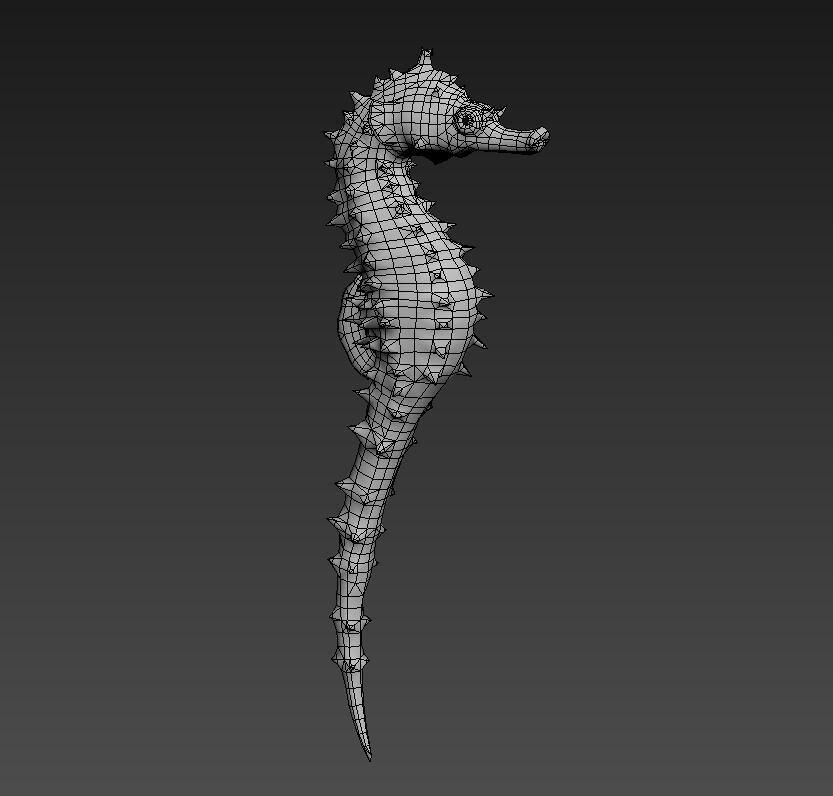 Seahorse Hippocampus Kuda Low-poly 3D model_4